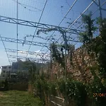 Cerro