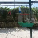 Apartamento Cerro