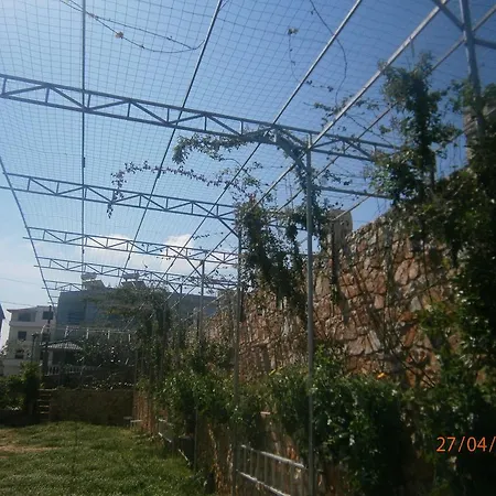 Cerro